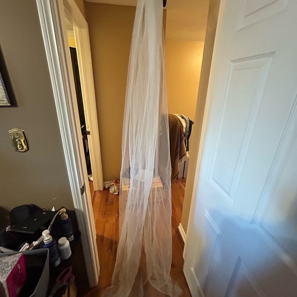 Park & Fifth BNWT Cathedral Veil white